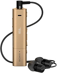 Sony SBH54 (черный/золотистый)