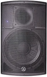 Акустическая система Topp Pro TP TPSi15HA