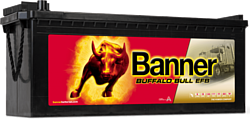 Banner Buffalo Bull EFB 690 17 (190Ah)