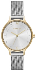 Наручные часы Skagen SKW2340