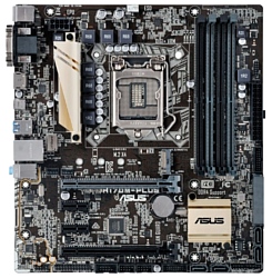 ASUS H170M-PLUS