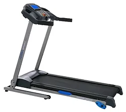 Беговая дорожка Royal Fitness RF-1