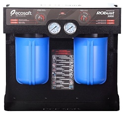 ECOSOFT Robust 3000