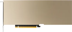 Видеокарта PNY Nvidia A10 24GB (TCSA10MCEC-PB)