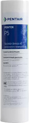 Картридж Pentek P5 Картридж Pentek P5