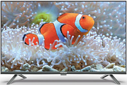 Телевизор Premier 55PRM840USV