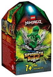 LEGO Ninjago 70687 Шквал Кружитцу — Ллойд