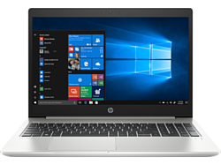 HP ProBook 455 G6 (6EB41EA)