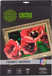 CACTUS Хлопковый холст A3 340 г/кв.м. 10 листов (CS-СGA326010)