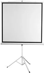 Проекционный экран Digis Kontur-D 248x250 DSKD-1108