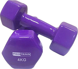 Protrain HC4005 2x4 кг