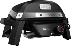 Weber Pulse 1000