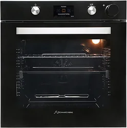 Электрический духовой шкаф Schaub Lorenz SLB EY6953