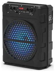 Портативная акустика Ritmix SP-810B