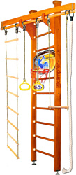 Kampfer Wooden Ladder Ceiling Basketball Shield (стандарт, классический)