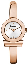 Salvatore Ferragamo FQ5050014