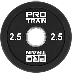 Protrain полиуретановый PPU-2,5 2.5 кг