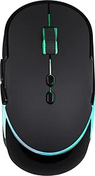 Игровая мышь TFN Saibot MX-13 Игровая мышь TFN Saibot MX-13