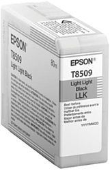 Epson C13T850900