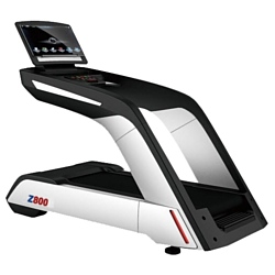 ZGYM PRO 800A LCD