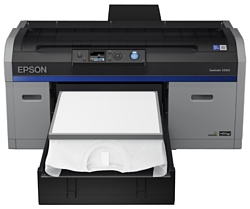 Epson SC-F2100 5C