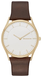 Skagen SKW6225