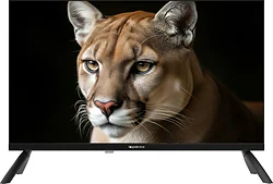 Телевизор Topdevice TDWC24BH1000I Телевизор Topdevice TDWC24BH1000I