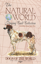 US Games Systems Dogs of the Natural World Playing Cards DWC54