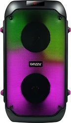 Портативная акустика Ginzzu GM-234 Портативная акустика Ginzzu GM-234
