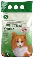 Сибирская кошка Флора 5л