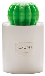 GSMIN Cactus