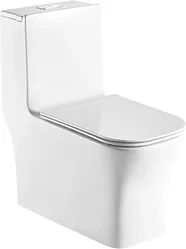 Унитаз WeltWasser Glanbach 001 GL-WT