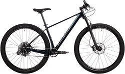 Велосипед Stinger Genesis Evo 29 (2024)