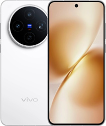 Vivo X200s 12/256GB (китайская версия)