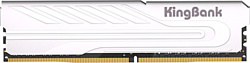 Модуль памяти KingBank KJXS K5.01.FP049D7201
