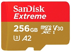 SanDisk Extreme SDSQXA1-256G-GN6MA 256GB (с адаптером)