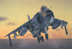Italeri 1236 Sea Harrier Frs.1