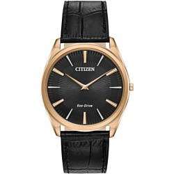 Citizen AR3073-06E