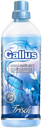 Gallus Freshness 2 л