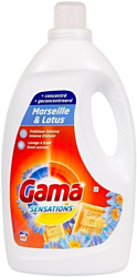 Gama Marseille & Lotus 2.2 л