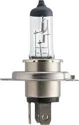 Автомобильная лампа Philips 13342MDB1