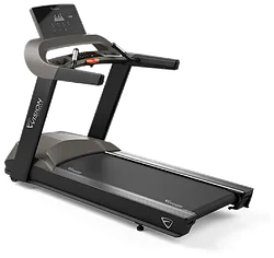 Беговая дорожка Vision Fitness T600