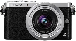 Panasonic Lumix DMC-GM1 Kit