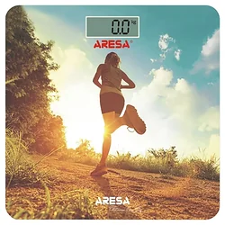 Aresa SB-310