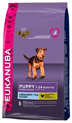 Eukanuba (3 кг) Puppy Dry Dog Food For Large Breed Chicken
