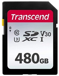 Transcend TS480GSDC300S