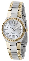 Наручные часы Fossil AM4183