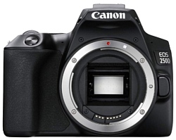 Canon EOS 250D Body