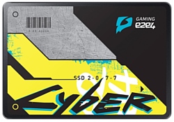 e2e4 120 GB Cyber 120Gb