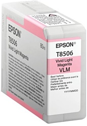 Epson C13T850600